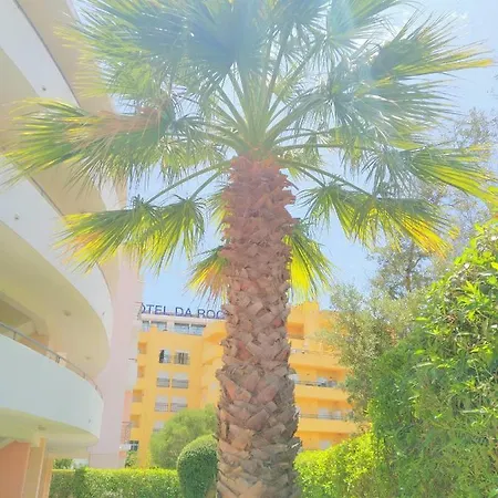 Sweet - Vila Rocha * بورتيماو